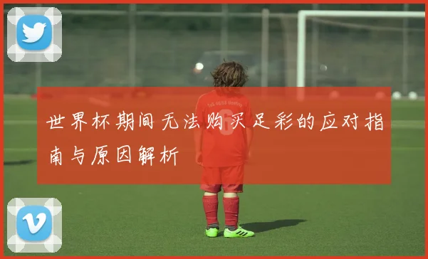 世界杯期间无法购买足彩的应对指南与原因解析