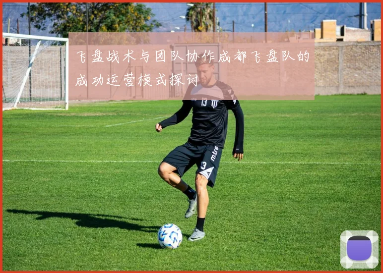 飞盘战术与团队协作成都飞盘队的成功运营模式探讨