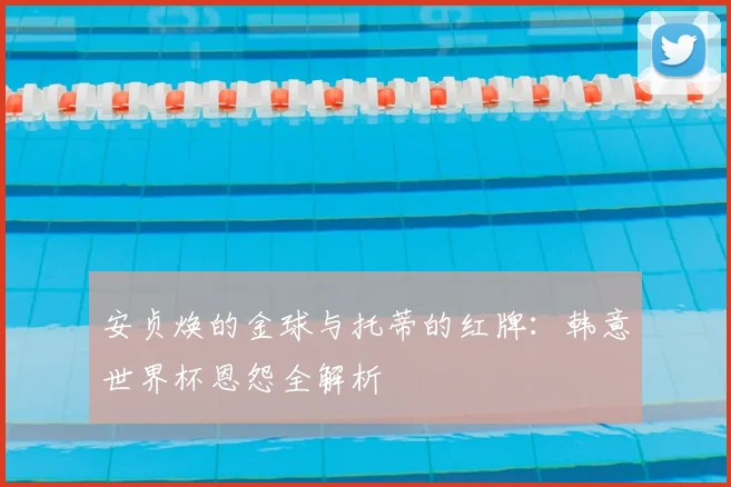 安贞焕的金球与托蒂的红牌：韩意世界杯恩怨全解析