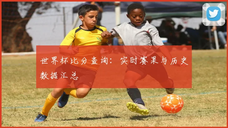 世界杯比分查询：实时赛果与历史数据汇总