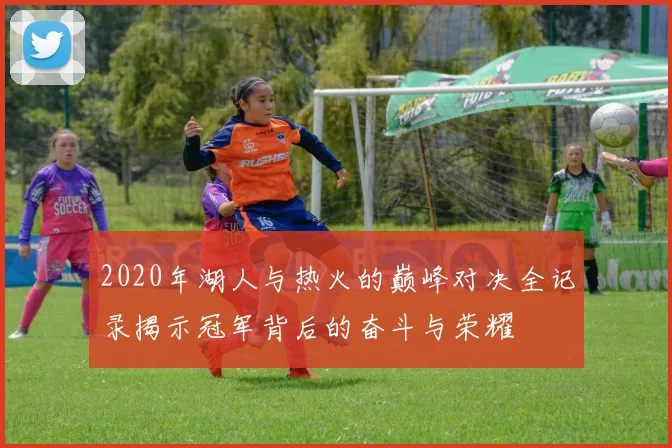 2020年湖人与热火的巅峰对决全记录揭示冠军背后的奋斗与荣耀