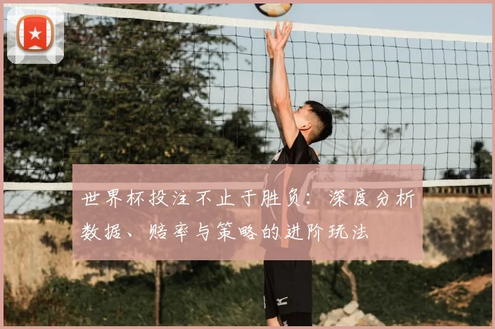 世界杯投注不止于胜负：深度分析数据、赔率与策略的进阶玩法