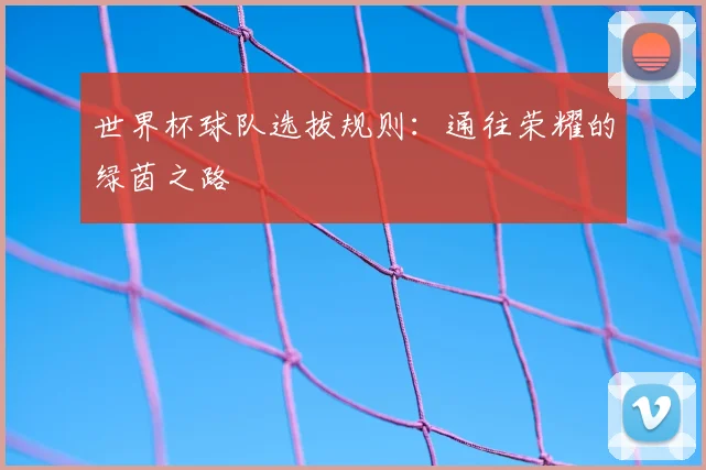 世界杯球队选拔规则：通往荣耀的绿茵之路