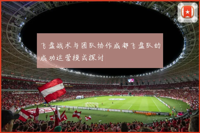 飞盘战术与团队协作成都飞盘队的成功运营模式探讨