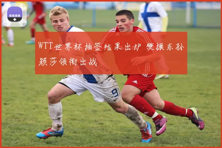 WTT世界杯抽签结果出炉 樊振东孙颖莎领衔出战